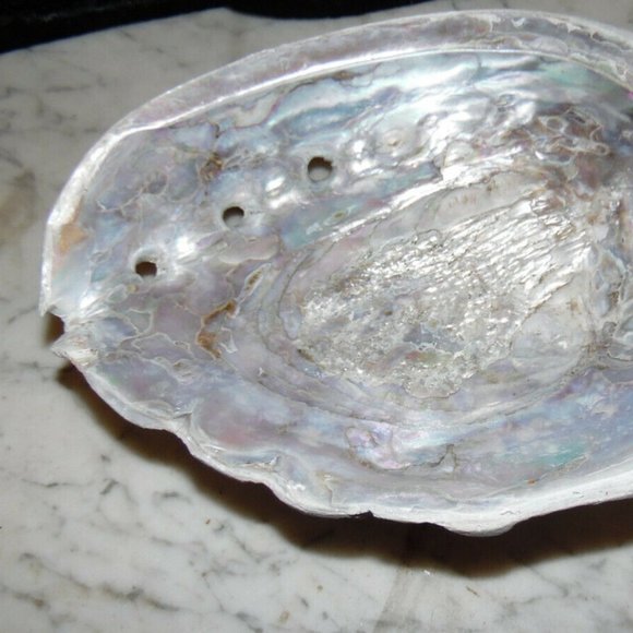 Beautiful Abalone Shell Antique & Vintage lot of 4~Size 8"~8"~6.5"~4 3/4''inches - Picture 7 of 16